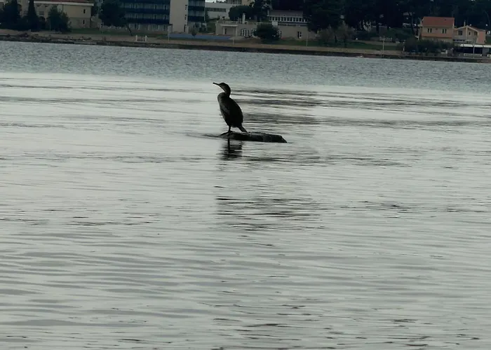 Apartman Kiara Vodice